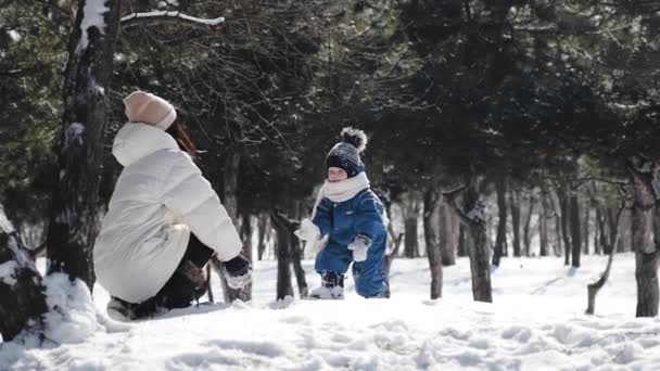 Η μαμά και ο μικρός γιος παίζουν χιονόμπαλες και πετάνε χιόνι - Πλάνα, βίντεο