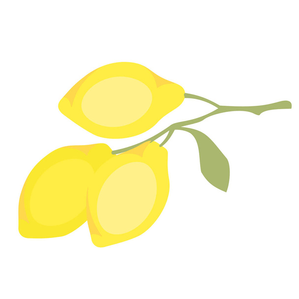 lemons branch flat simple illustration - Vettoriali, immagini