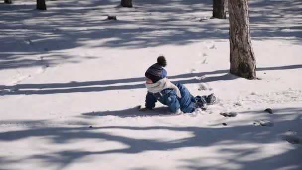 Aktív fiú csúszó négyre egy télen hóval borított parkban magas fák - Felvétel, videó