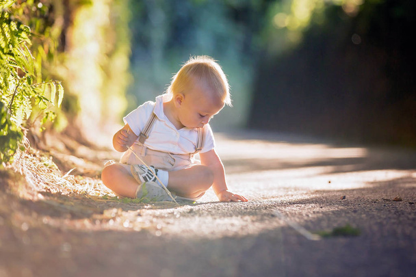 Little baby boy, toddler child, playing with leaves on a sunny p - Photo, Image