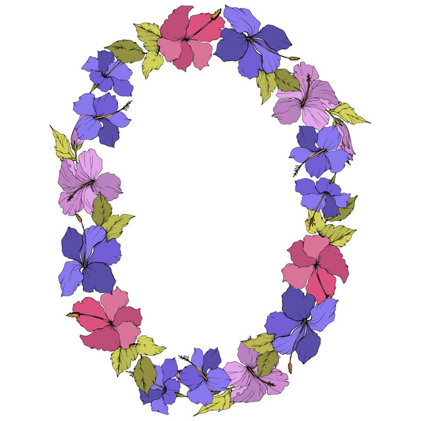 Vector Hibiscus floral botanical flower. Exotic tropical hawaiian summer. Engraved ink art on white background. Frame border ornament square. - Вектор,изображение