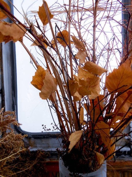 p ile bir kış pencere camı üzerinde bir buket dalları akçaağaç yaprakları - Fotoğraf, Görsel