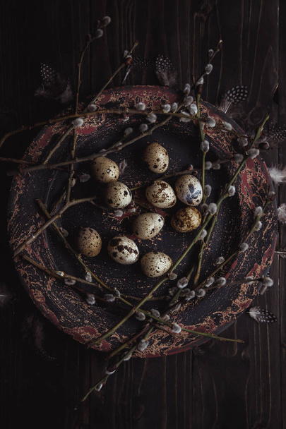 Quail eggs with pussy willow branch and feathers on plate on wooden background. - Photo, Image