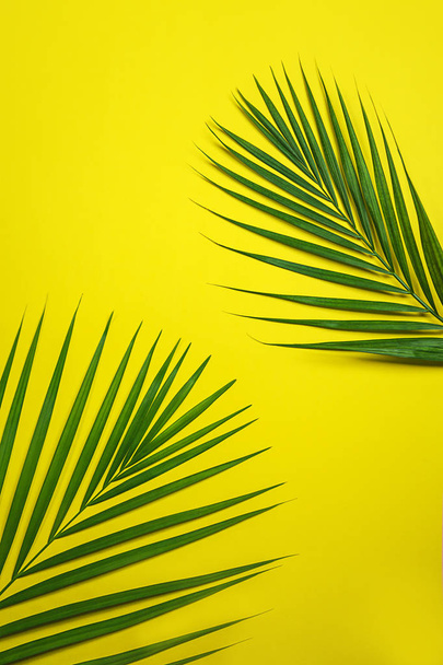 Tropical green palm leaves on yellow background. - Фото, изображение