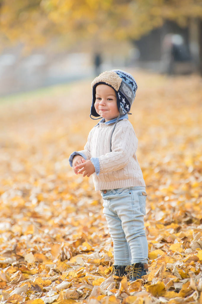 Beautiful baby boy posing at the park. Autumn season. - Valokuva, kuva