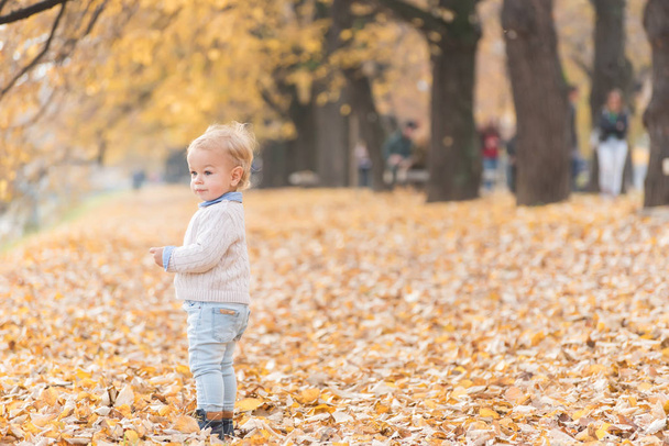 Hermoso niño posando en el parque. Temporada de otoño
. - Foto, Imagen