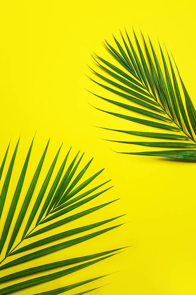 Tropical green palm leaves on yellow background. - Fotoğraf, Görsel