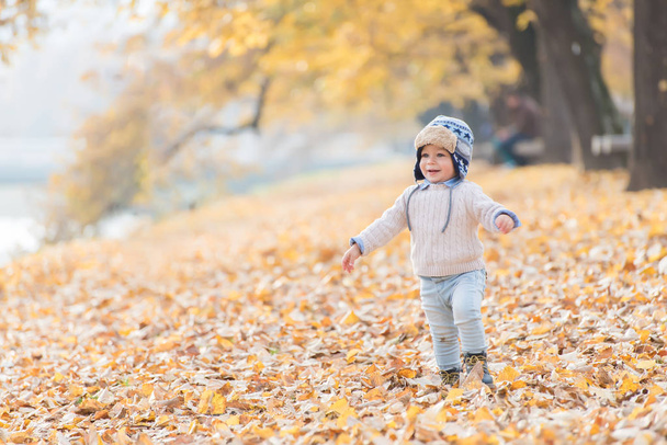 Beautiful baby boy walking throw the autumn leaves at the park. - Photo, image