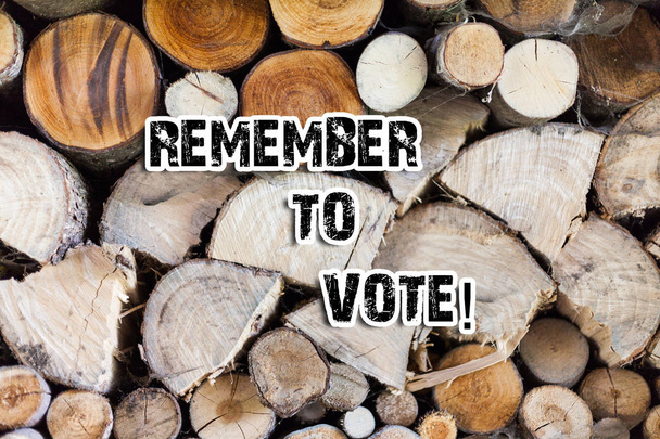 Εννοιολογική χέρι γραφή δείχνει θυμηθείτε σε ψηφοφορία. Επαγγελματίες φωτογραφία κείμενο μην ξεχάσετε επιλέξτε και να δώσει τη φωνή σας σε κατάλληλο υποψήφιο ξύλινο υπόβαθρο εκλεκτής ποιότητας ξύλο άγριο μήνυμα ιδέες σκέψεις. - Φωτογραφία, εικόνα