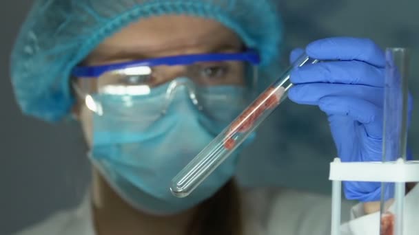Laboratory worker in safety glasses checking meat sample in tube quality control - Materiał filmowy, wideo