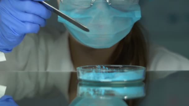 Lab assistant in safety glasses checking blue chemicals, household production - Filmati, video