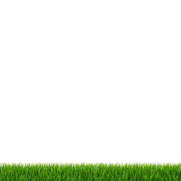 Grass Border Isolated - Vector, afbeelding