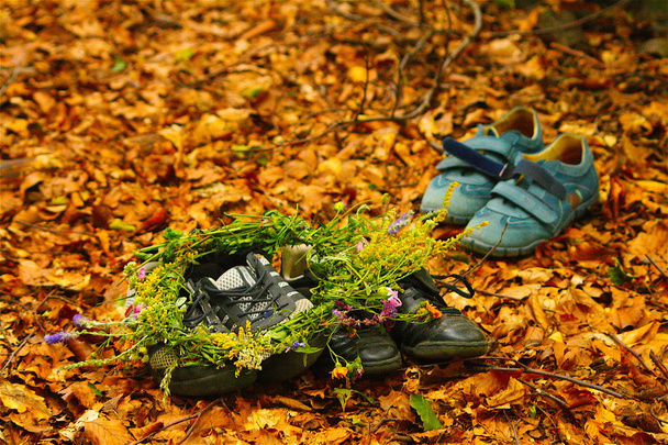 Farklı ayakkabı sonbahar ormandaki sarı yapraklarda - Fotoğraf, Görsel