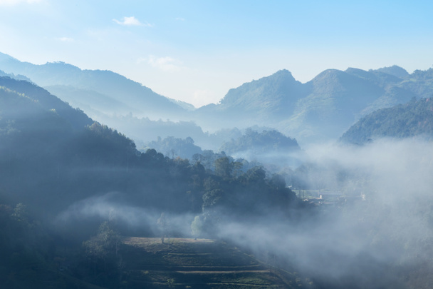 Nascer do sol de manhã com nevoeiro branco na plantação de chá verde terraço 2000 Doi Ang khang Chiang Mai Tailândia
  - Foto, Imagem