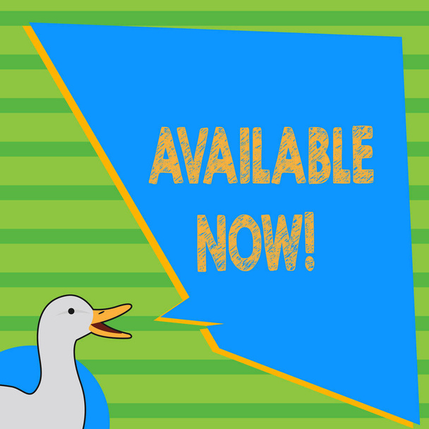 Writing note showing Available Now. Business photo showcasing you can find it obtain or operable at this current moment photo of Duck Speaking with Uneven Shape Blank Blue Speech Balloon. - Photo, Image