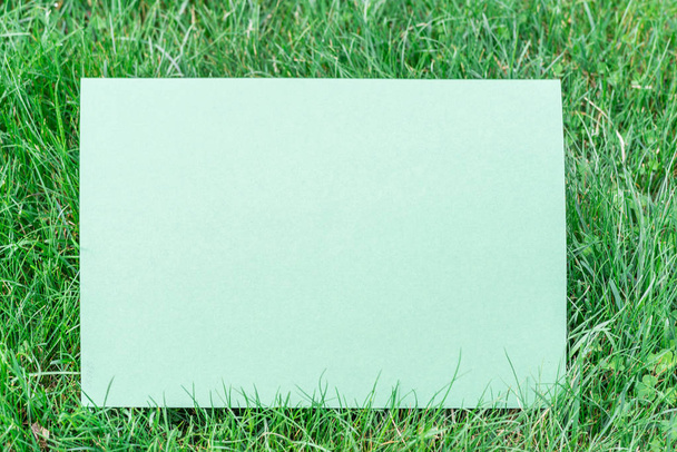 Green paper blank on the green grass. Green grass as a frame. - Foto, Imagen