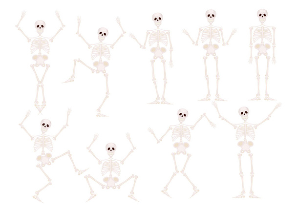 Funny cartoon skeletons character danceand and gymnastics - Vector, Image