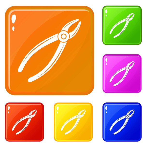 Tooth pliers icons set vector color - Вектор,изображение