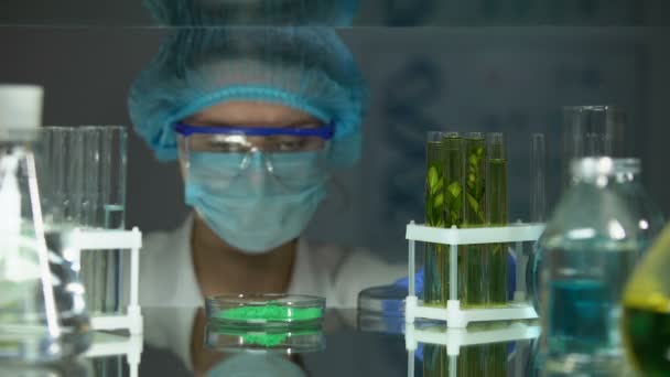 Ученый добавляет зеленый порошок в трубу с зеленым растением, влияние пестицидов
 - Кадры, видео
