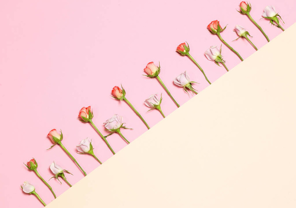 Bloemen achtergrond. Flat lag met roze en rode rozen. Frame met roze, witte, rode rozen. Roze mooie achtergrond - Foto, afbeelding