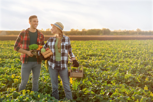 Agriculteurs avec des légumes cueillis dans le champ
 - Photo, image