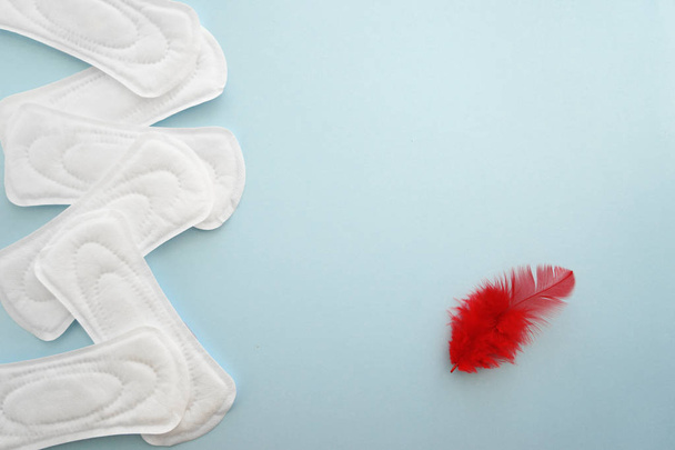 Menstrual pads with red feather on color background - Photo, Image