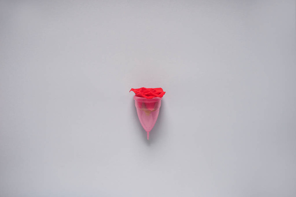 Copa menstrual con rosa roja sobre fondo gris
 - Foto, Imagen