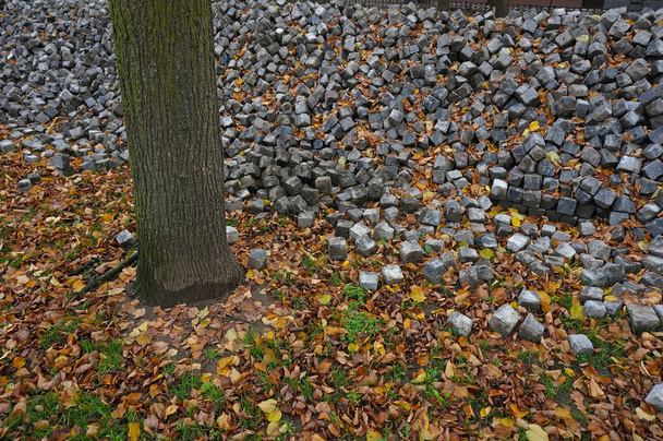 Trockenes Laub auf dem Gehweg - Foto, Bild