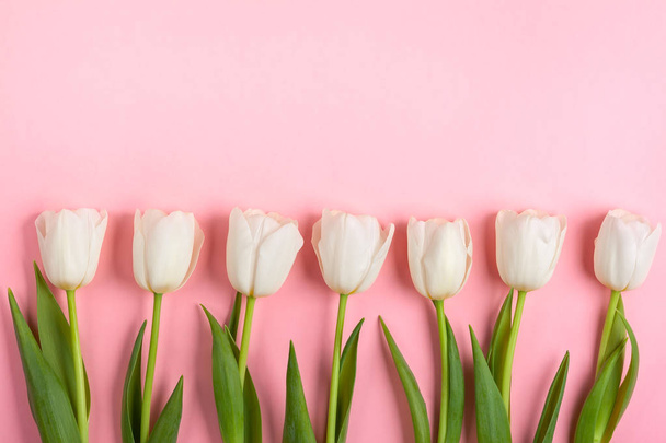 Beautiful white tulips flowers for holiday. - Zdjęcie, obraz