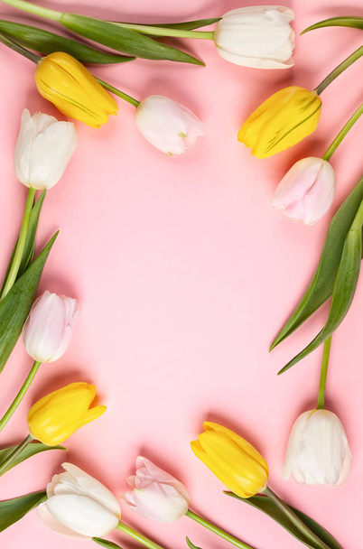 Beautiful white, pink and yellow  tulips flowers for holiday. - Valokuva, kuva