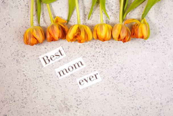 Row of tulips on coloful background with space for message. Mothers Day background. Top view - Fotó, kép