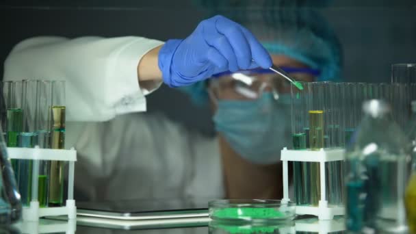 Lab assistant adding green powder to tube and typing result on tab, technology - Footage, Video