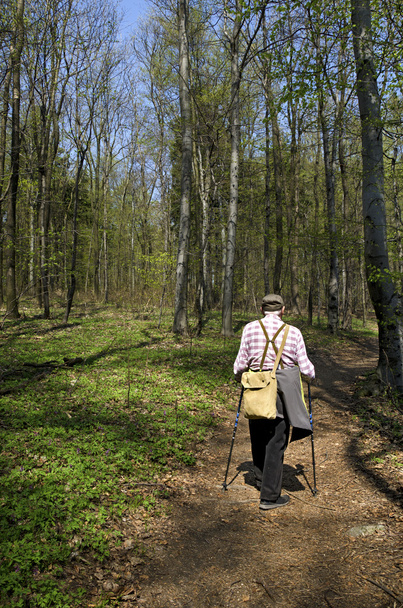 The senior nordic walking - Фото, изображение