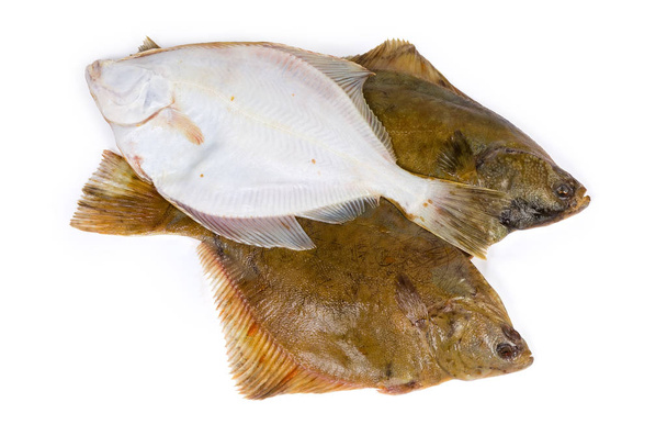 RAW flounders σε λευκό φόντο - Φωτογραφία, εικόνα