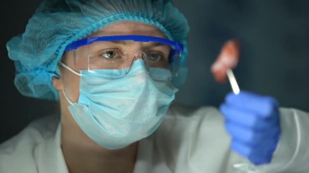 Asystent laboratoryjny analizujący zakażoną próbkę mięsa, tkanki nowotworowe, przerzuty - Materiał filmowy, wideo