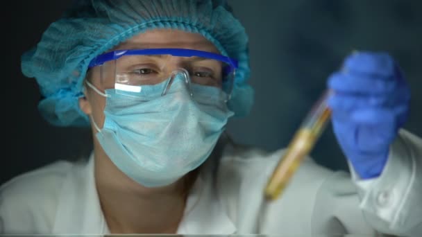 Asystent laboratorium VET patrząc na próbkę mięsa w żółtym płynie, analiza grypy świń - Materiał filmowy, wideo