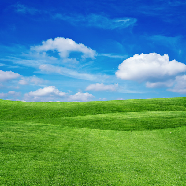 campo di erba con cielo nuvoloso
 - Foto, immagini