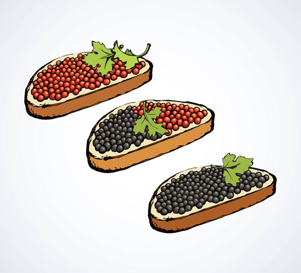 Caviar. Desenho vetorial
 - Vetor, Imagem