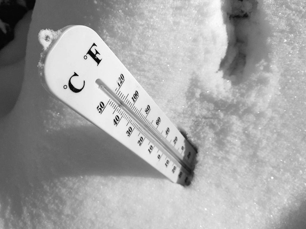 street thermometer with a temperature of Celsius and Fahrenheit in the snow next to a young pine - Foto, imagen