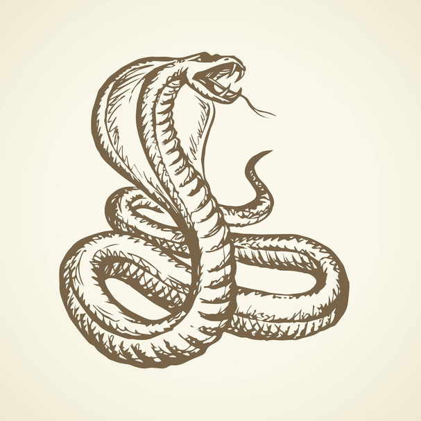 Snake. Vector tekening - Vector, afbeelding