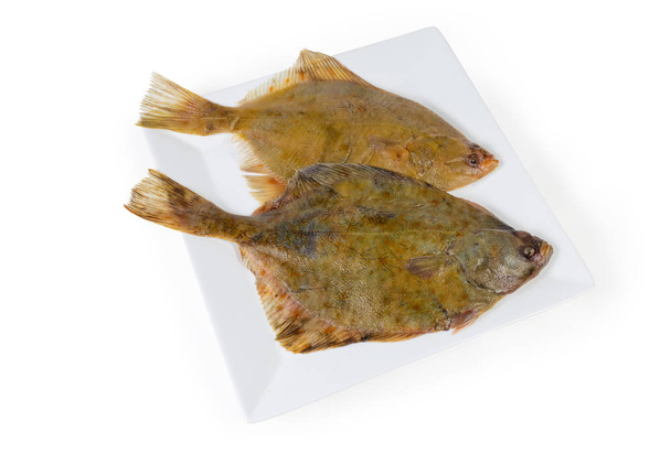 Δύο πρώτες flounders στο τετράγωνο πιάτο σε λευκό φόντο - Φωτογραφία, εικόνα