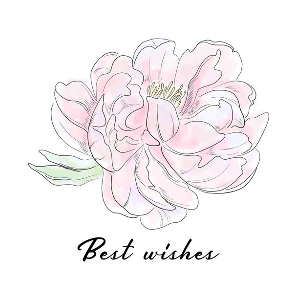 Eslogan de tipografía vectorial con ilustración de flores de peonía. Boceto botánico dibujado a mano. Dibujo romántico boda diseño
. - Vector, imagen