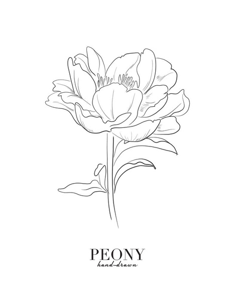 Blue peony flowers graphic invitation. Botanical blossom pastel plant, minimal watercolor creative invitation. Minimal card design with text. - Vector, Image