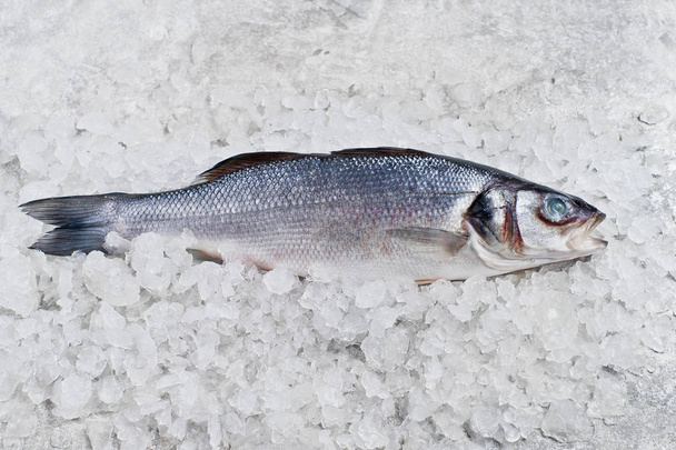 Raw sea bass on ice. Gray background, top view, space for text. - Foto, imagen