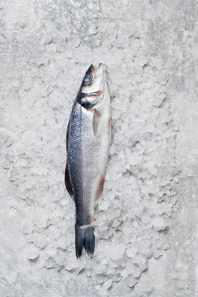 Raw sea bass on ice. Gray background, top view, space for text. - Foto, immagini