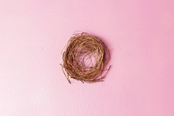 Empty nest - Foto, imagen