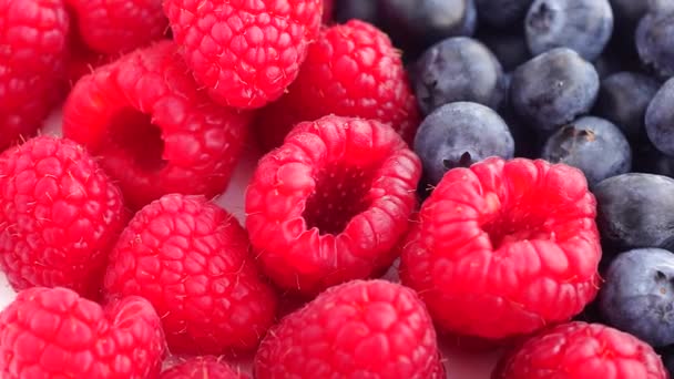 Delicious raspberries and blueberries panorama macro - Footage, Video