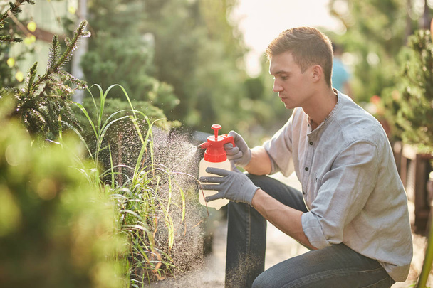Guy gardener sprays fertilizer on plants in the beautiful nursery-garden on a sunny day. Work in the gardener - Fotoğraf, Görsel