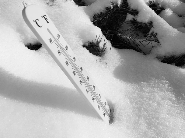 street thermometer with a temperature of Celsius and Fahrenheit in the snow next to a young pine - Foto, imagen