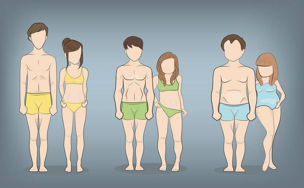 Male and female body types: Ectomorph, Mesomorph and Endomorph. Skinny, muscular and fat bodytypes. Fitness and health illustration. - Vector, Image